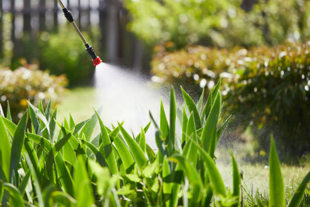 Tamper-Resistant Bait Stations for Rodents in Rouse