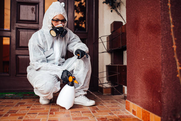 Attic and Crawl Space Rodent Treatment in Rouse